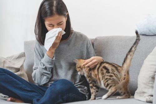 くしゃみをする女性と猫