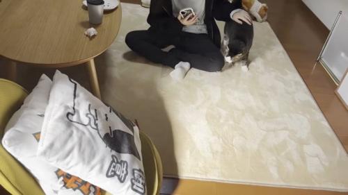 別室の様子(あぐらをかいた人物と猫ちゃん)