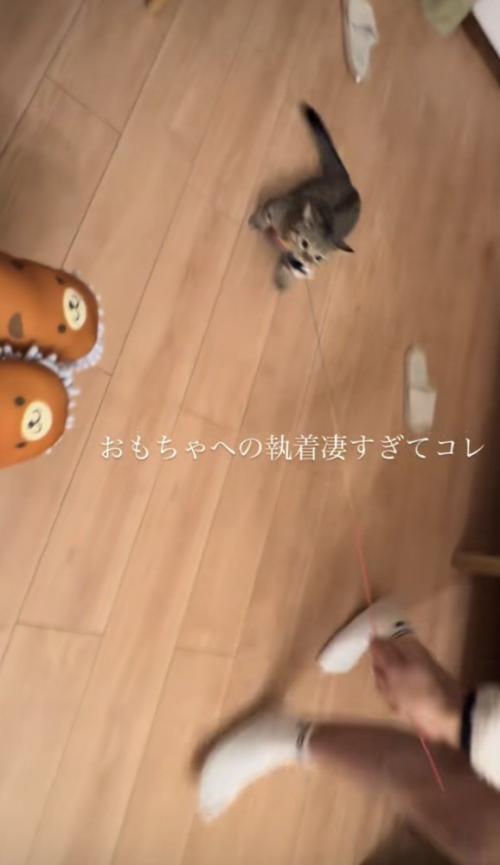 「おもちゃへの執着凄すぎてコレ」のテロップ写真2