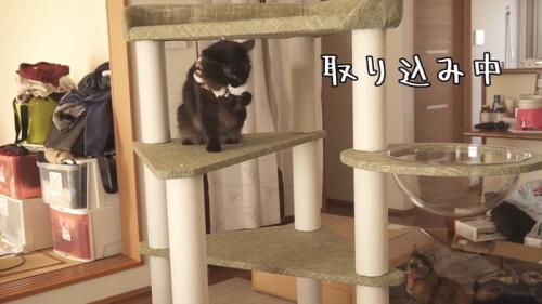 取り込み中