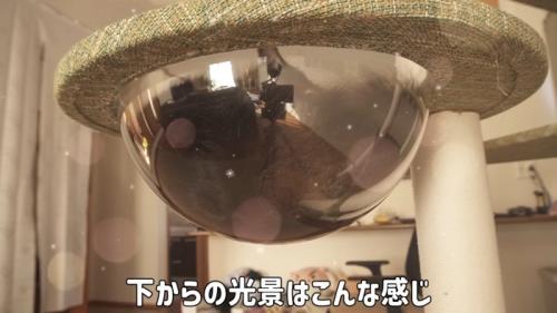 下からの光景