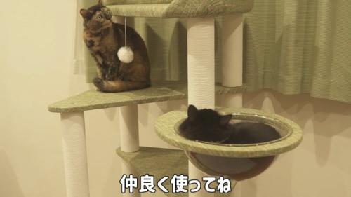 仲良く使ってね