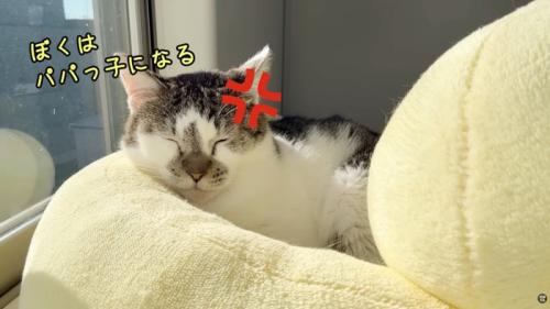テロップ「ぼくはパパっ子になる」