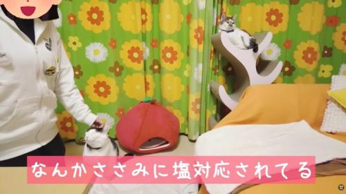 テロップ「なんかささみに~」