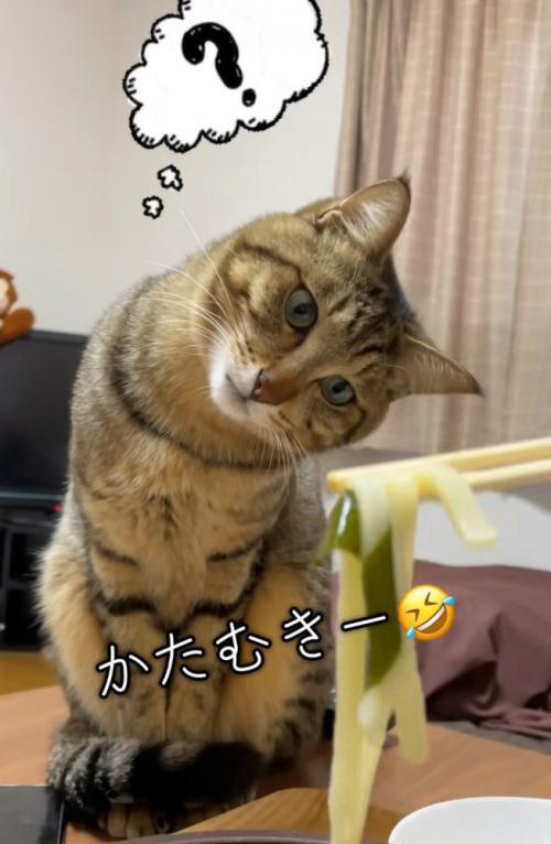 ?マークの写真