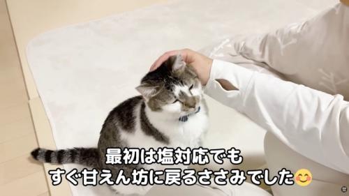 テロップ「最初は塩対応でも~」