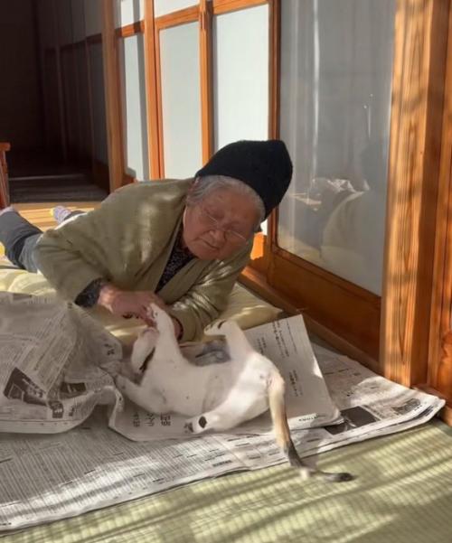 おばあちゃんに前足を伸ばす猫