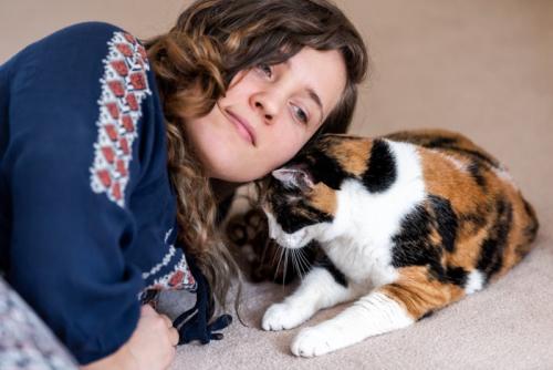 飼い主に自分の額をスリスリする猫