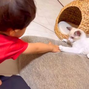 赤ちゃんと保護子猫が一緒に遊んだ結果→まるで本当の兄弟のようで…愛おしすぎる『ふれあいの光景』に反響「可愛いが止まらない」「微笑ましい」