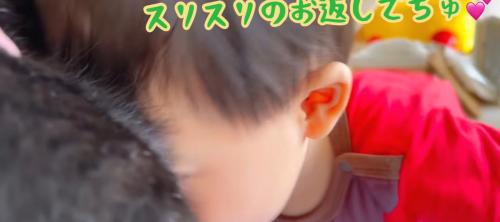 額を寄せ合っている子猫と赤ちゃん