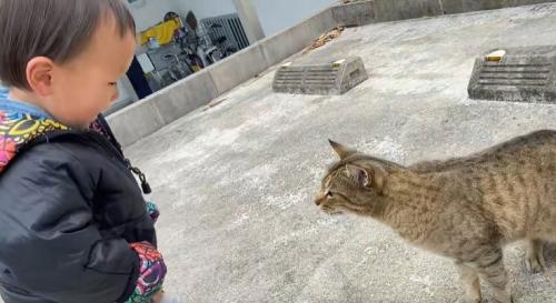 立ち上がった男の子