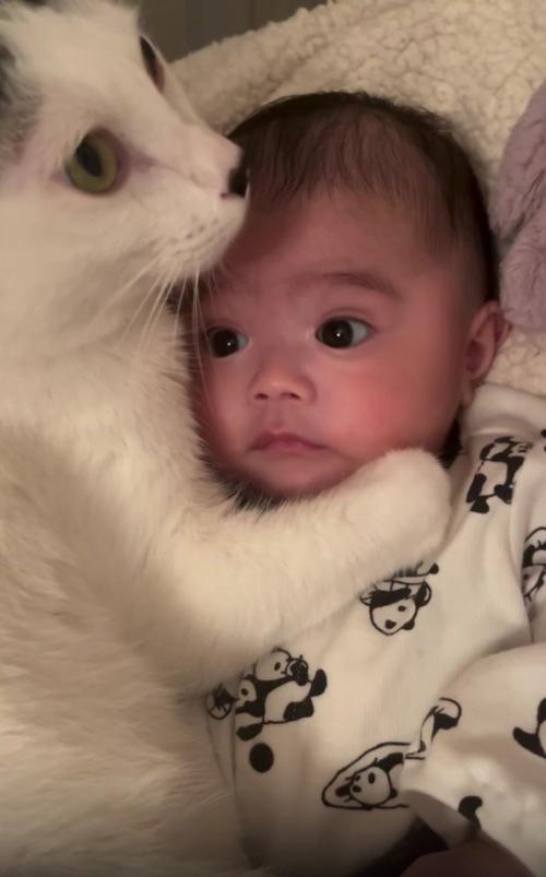 赤ちゃんと猫