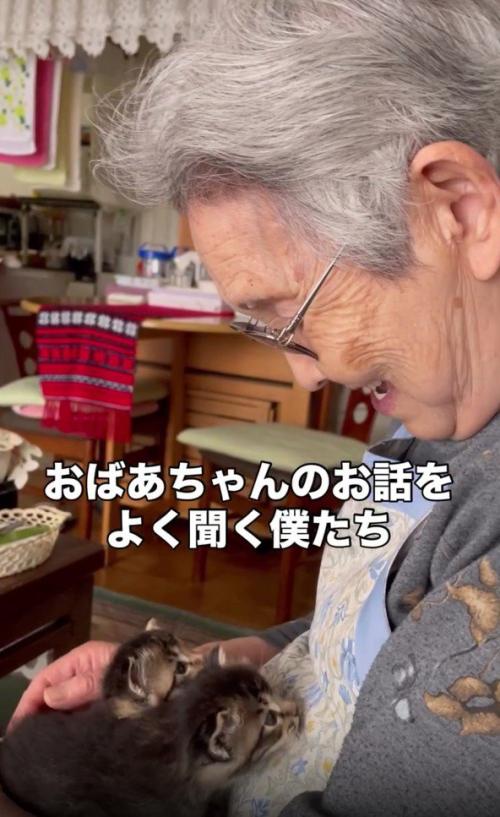 おばあちゃんと2匹の子猫