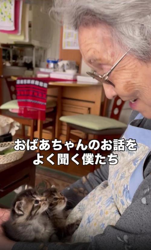 おばあちゃんと2匹の子猫