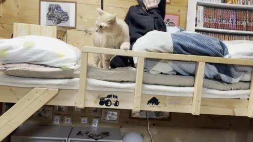 左前足をかけるひのきちゃん