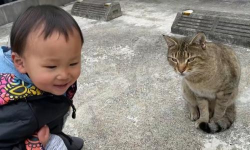 男の子と野良猫のツーショット