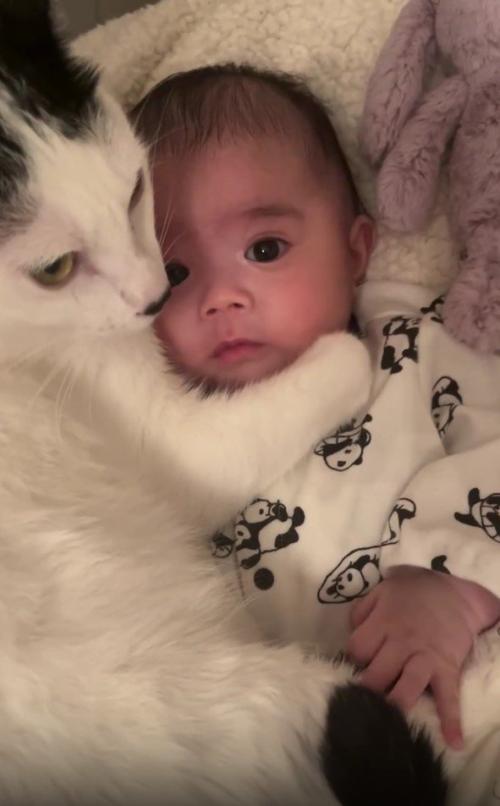 赤ちゃんと猫