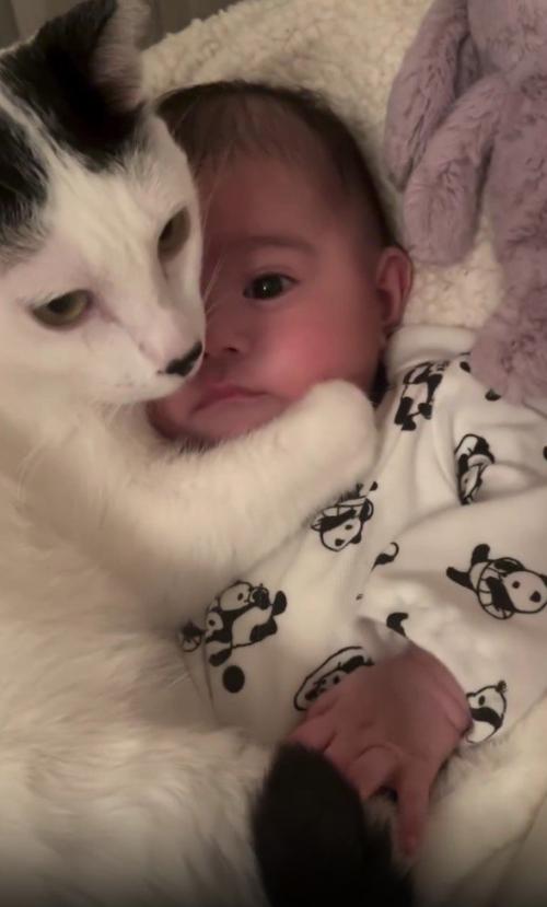 赤ちゃんと猫