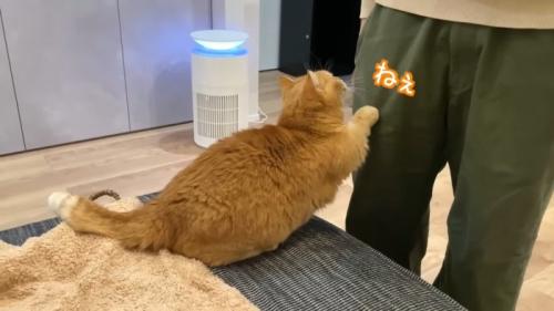 ねぇ