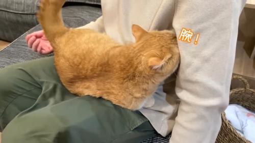 腕！