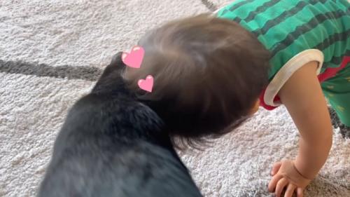 ♡♡