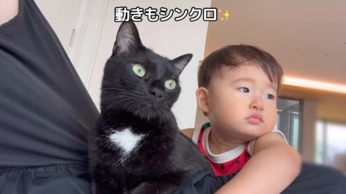 動きもシンクロ