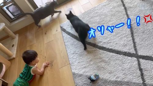 オリャー！！