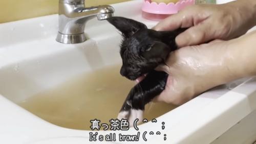 汚れたお湯