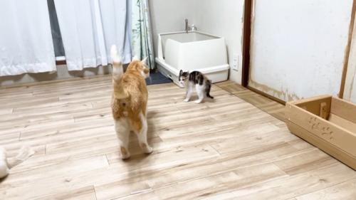向き合うふたり