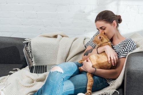 女性に抱っこされる猫