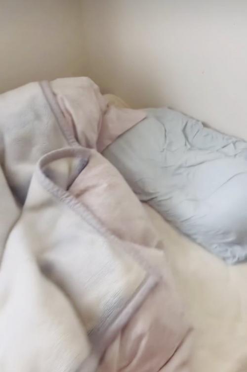 茶トラ猫が眠るベッド