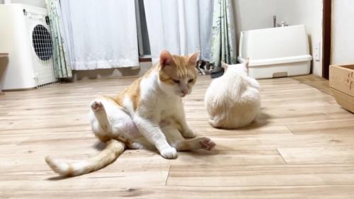 3ショット