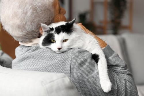 おばあさんに抱っこされる猫