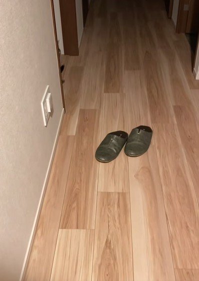 部屋の中へ消えていく猫