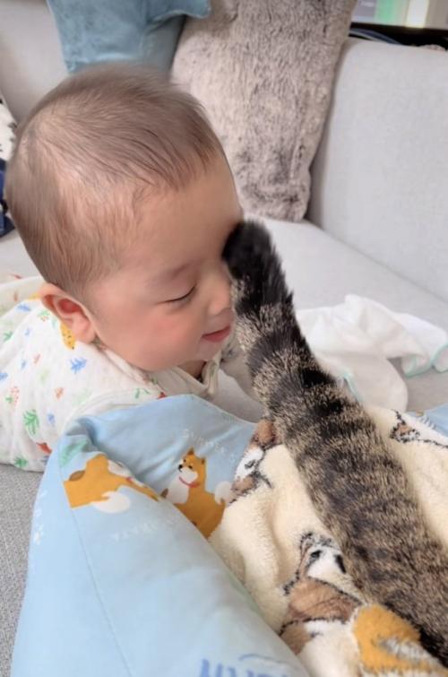 赤ちゃんを尻尾であやすキジトラ猫