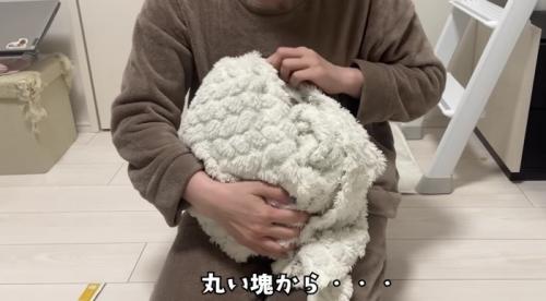 毛布に包まれるみにらくん