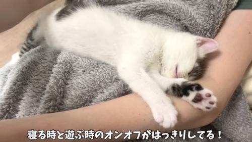あっという間に寝た坊ちゃん