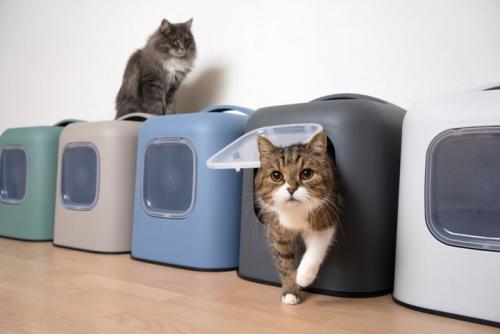 複数の猫トイレ