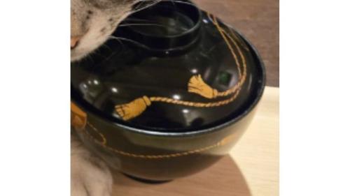 猫とお椀