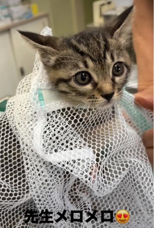 あきちゃん
