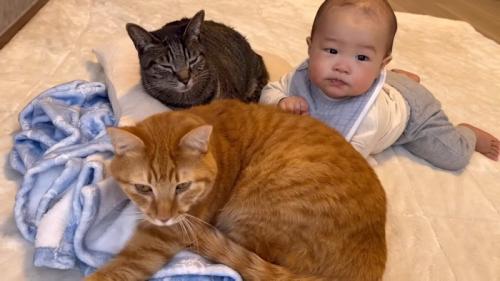 3ショット