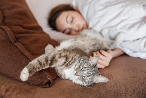猫と一緒に寝る人
