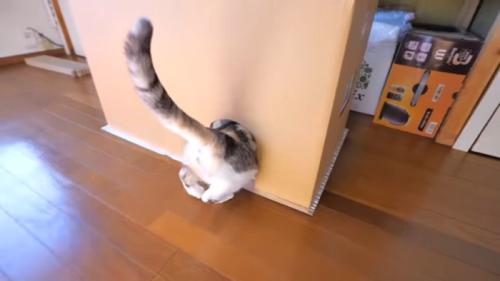 お尻