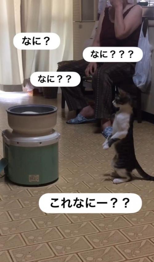 「なに？」と四回書かれた写真