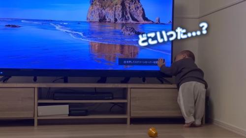 どこいった…?