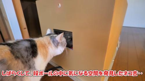 しばらくして