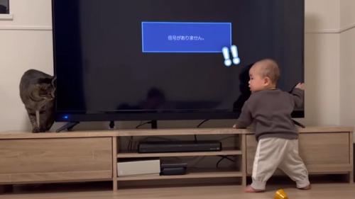 !!(赤ちゃんが右)