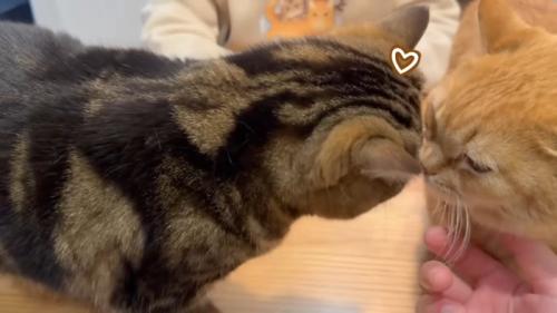 ♡