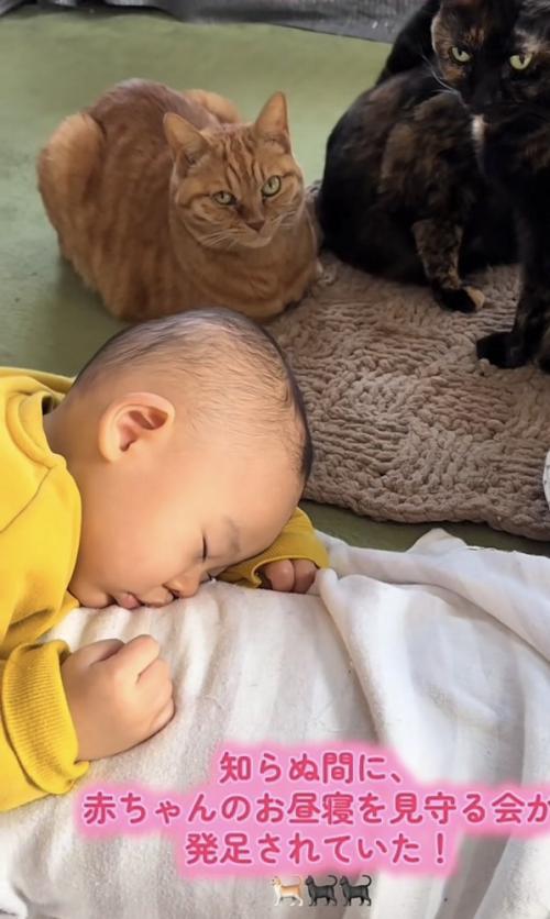 「知らぬ間に...」のテロップ写真3
