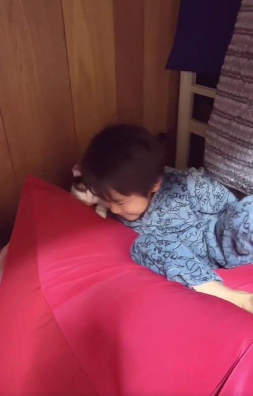 ベッドから落ちた男の子と猫